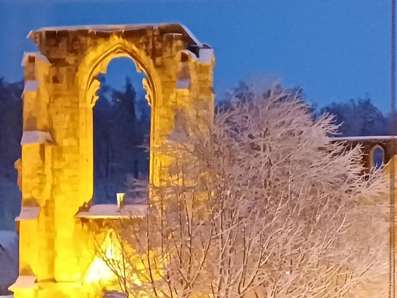 Ferienwohnungen Klosterblick Walkenried ภายนอก รูปภาพ