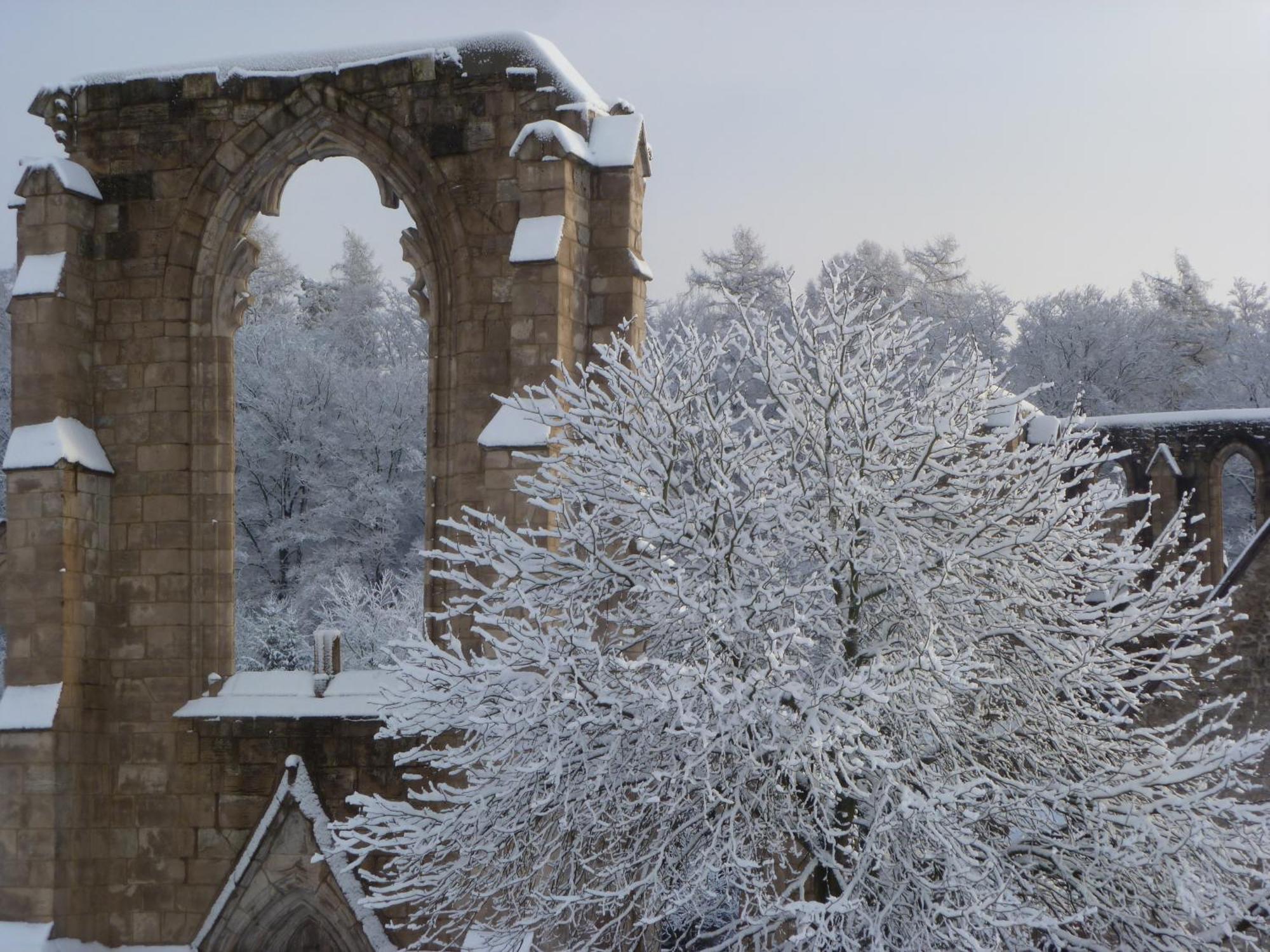 Ferienwohnungen Klosterblick Walkenried ภายนอก รูปภาพ