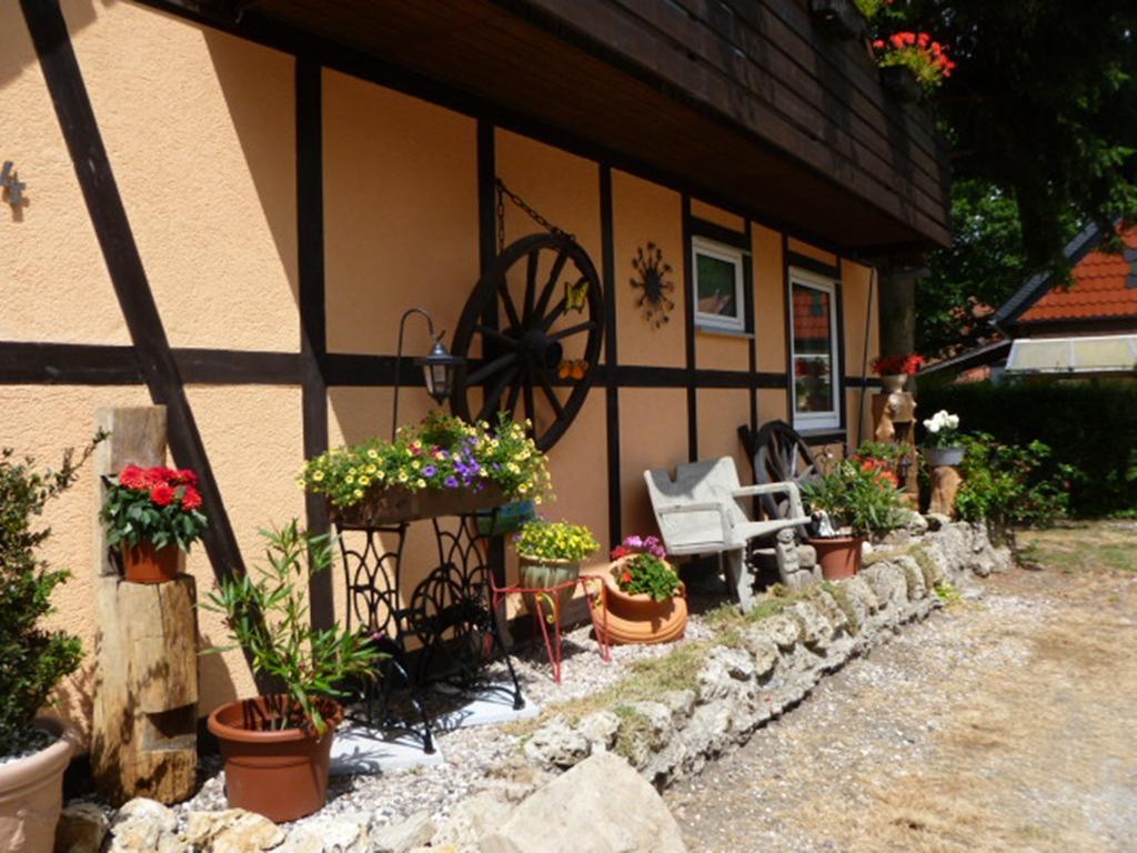 Ferienwohnungen Klosterblick Walkenried ภายนอก รูปภาพ