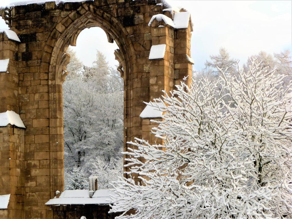 Ferienwohnungen Klosterblick Walkenried ภายนอก รูปภาพ